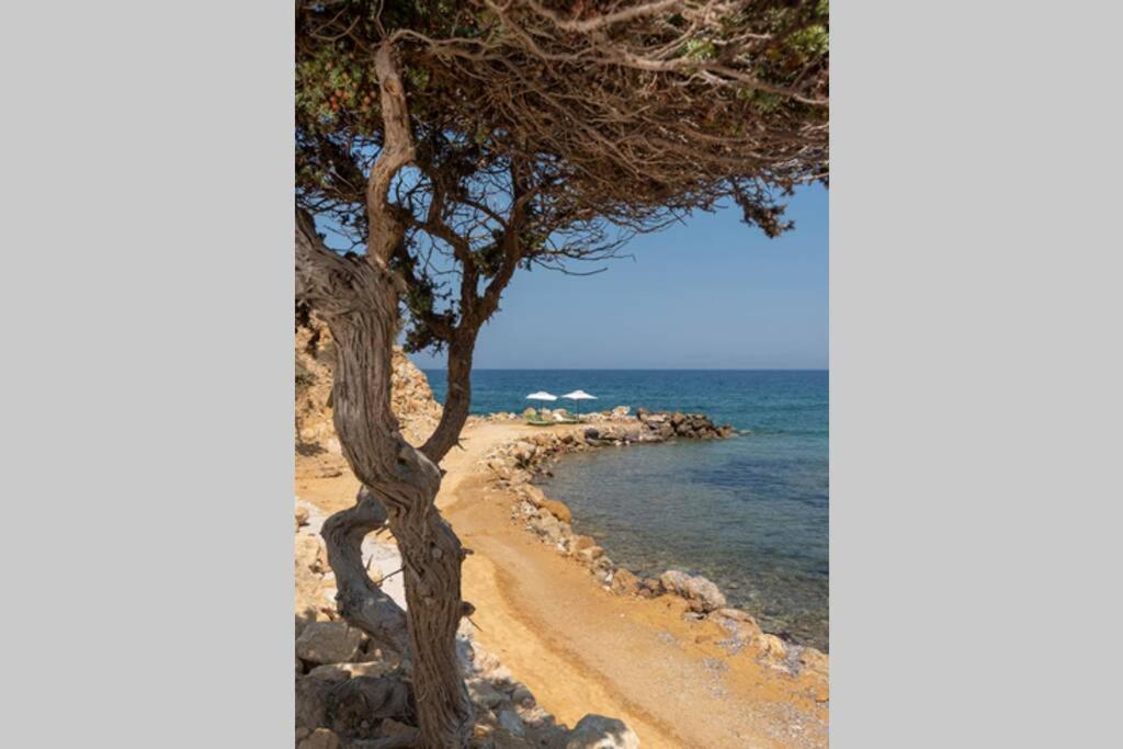 Вілла Ktima Sfakia Kefalos  Екстер'єр фото