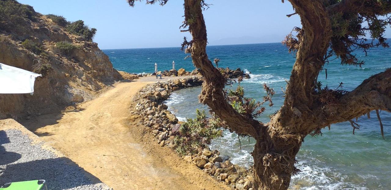 Вілла Ktima Sfakia Kefalos  Екстер'єр фото