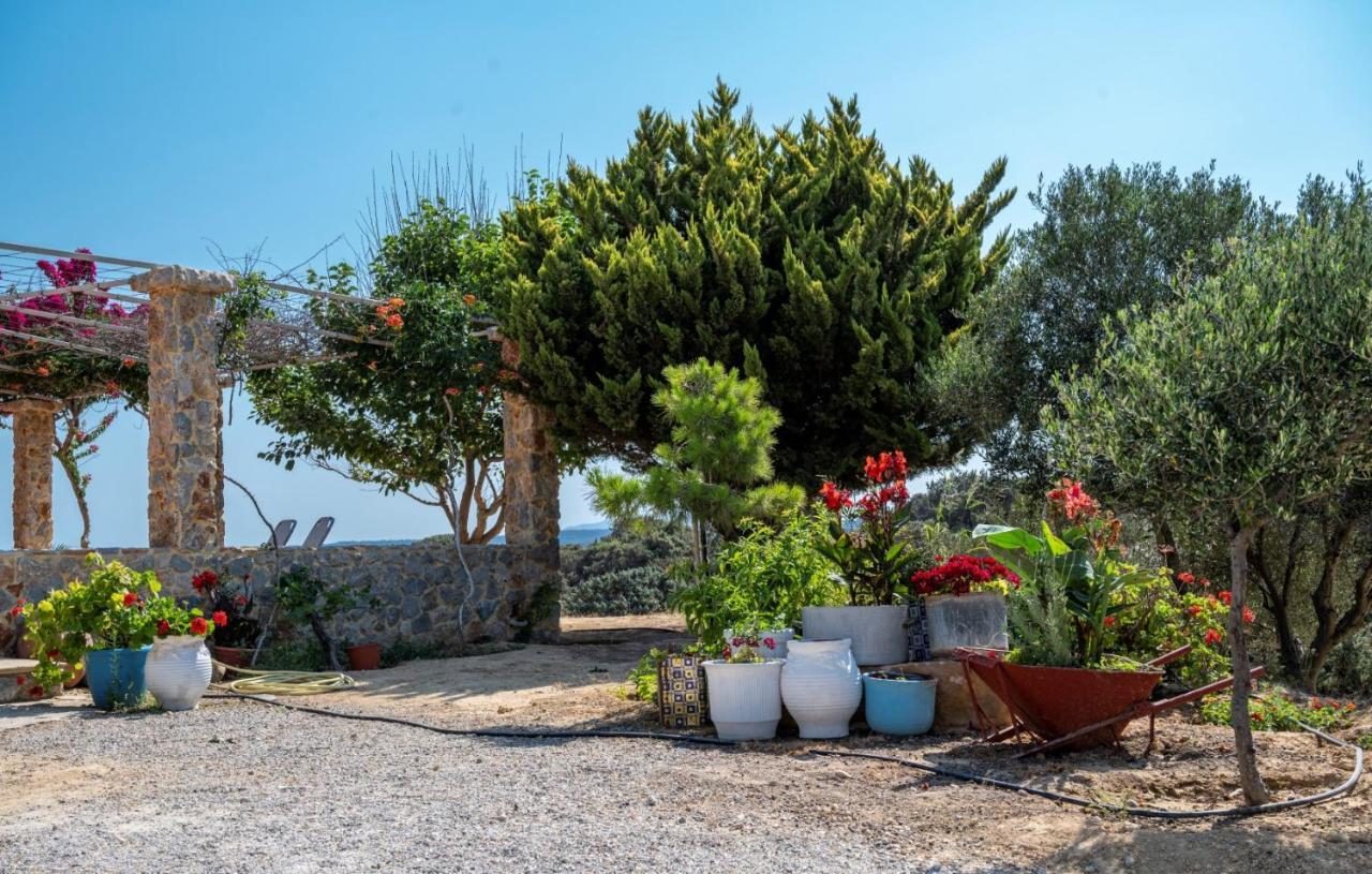 Вілла Ktima Sfakia Kefalos  Екстер'єр фото