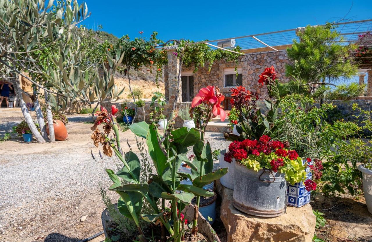 Вілла Ktima Sfakia Kefalos  Екстер'єр фото
